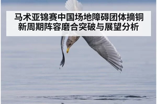 马术亚锦赛中国场地障碍团体摘铜新周期阵容磨合突破与展望分析